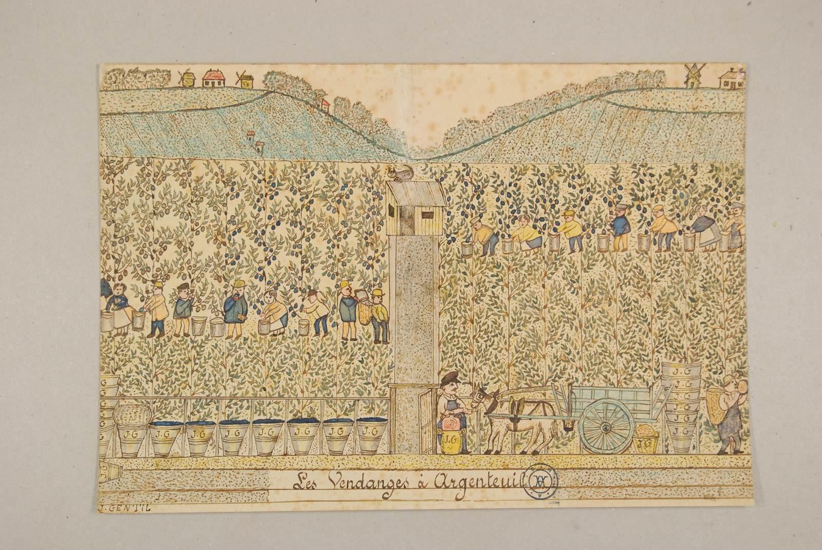 Les vendanges à Argenteuil