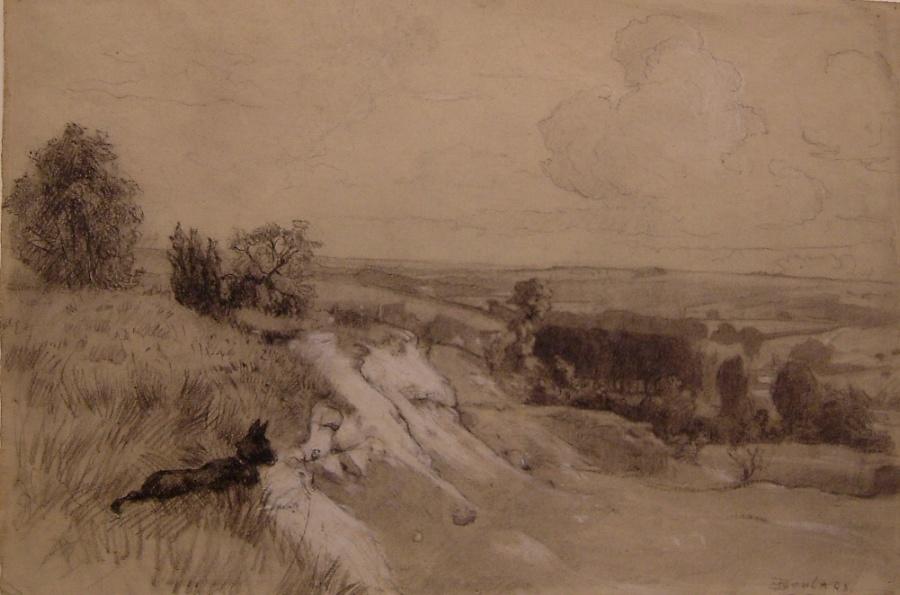 Chien regardant un paysage des environs de Nesles la Vallée