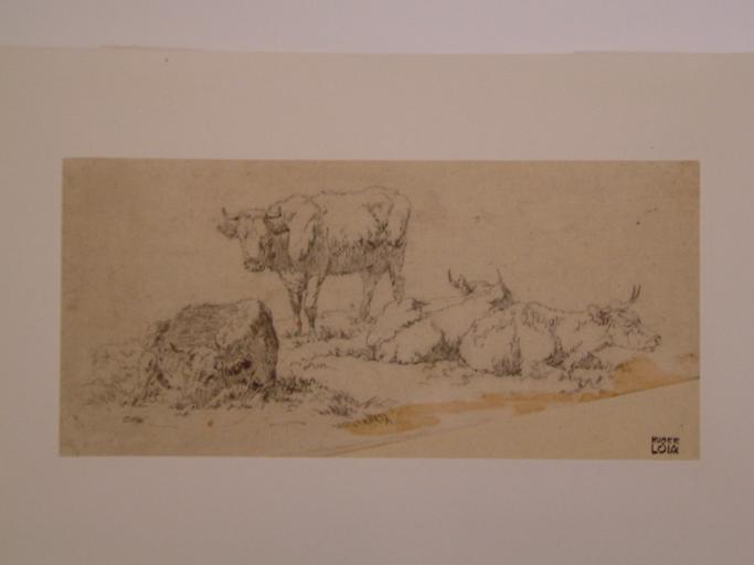 Etude de bovins (titre factice)