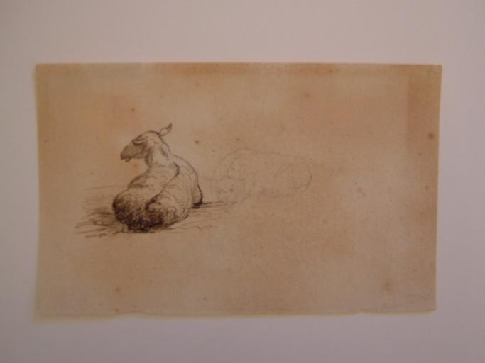 Etude moutons de dos (titre factice)