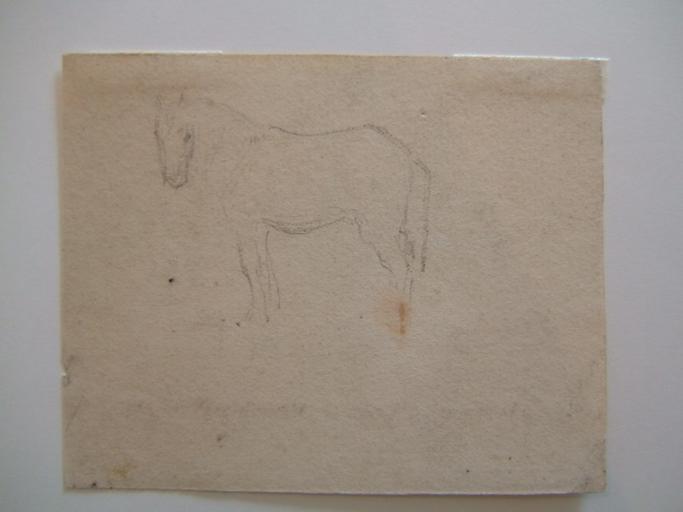 Etude cheval