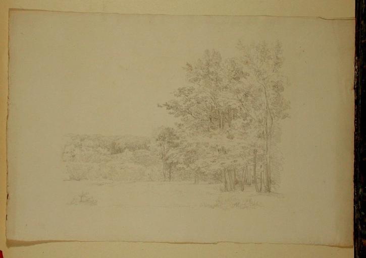 Paysage boisé