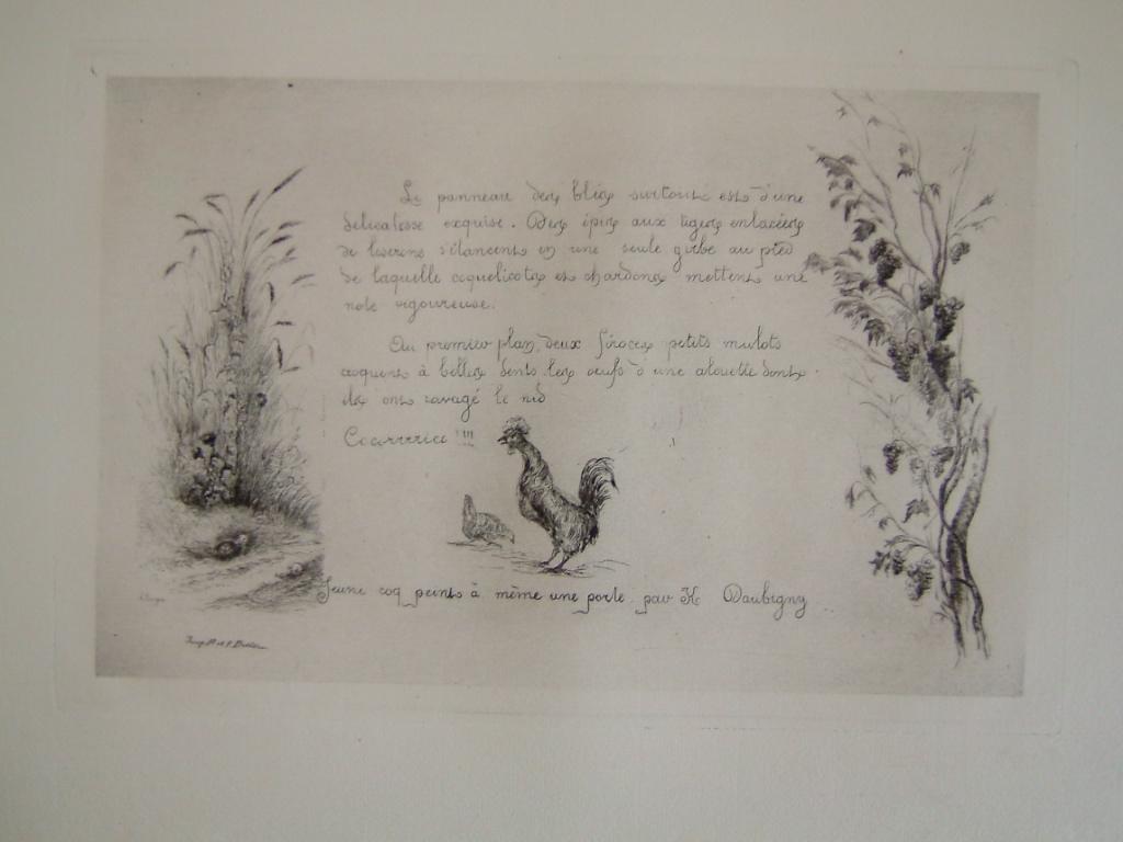 Daubigny, souvenirs et croquis (13) : Jeune coq peint à même une porte par K. Daubigny