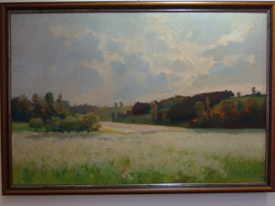 Avoines au Val de Nesles