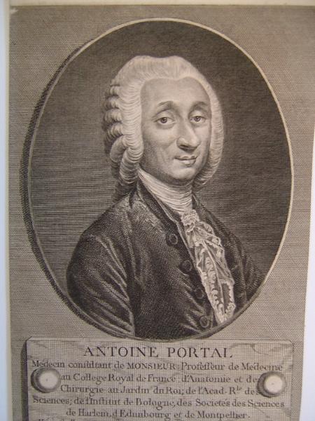 Portrait d'Antoine PORTAL