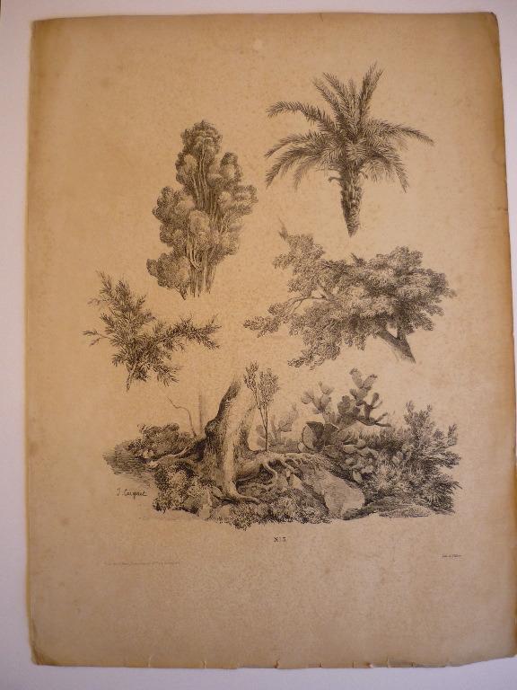 Planche pour modèle (Etude n° 3)