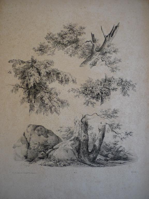 Planche pour modèle (Etude n° 2)