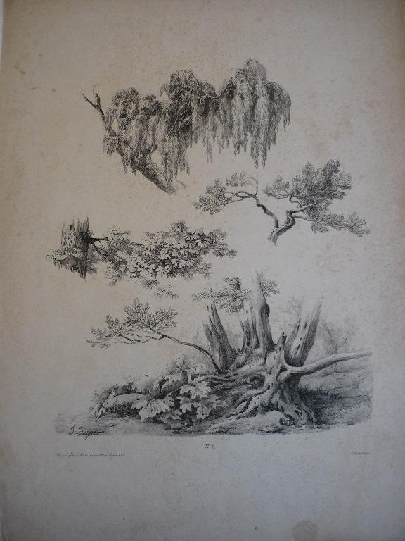 Planche pour modèle (Etude n° 6)