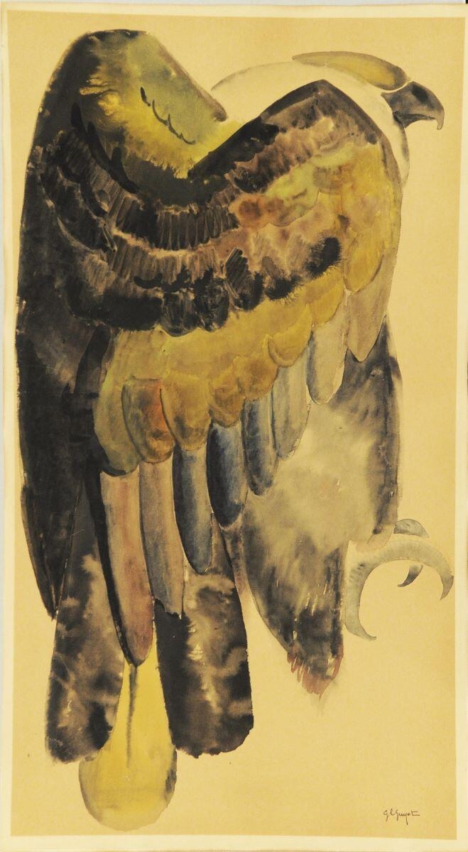 Aigle