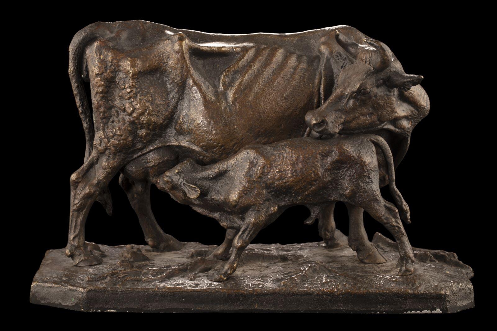 Vache et son veau