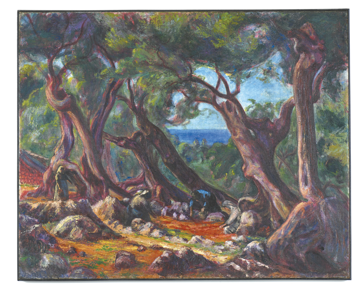 Oliviers de Majorque