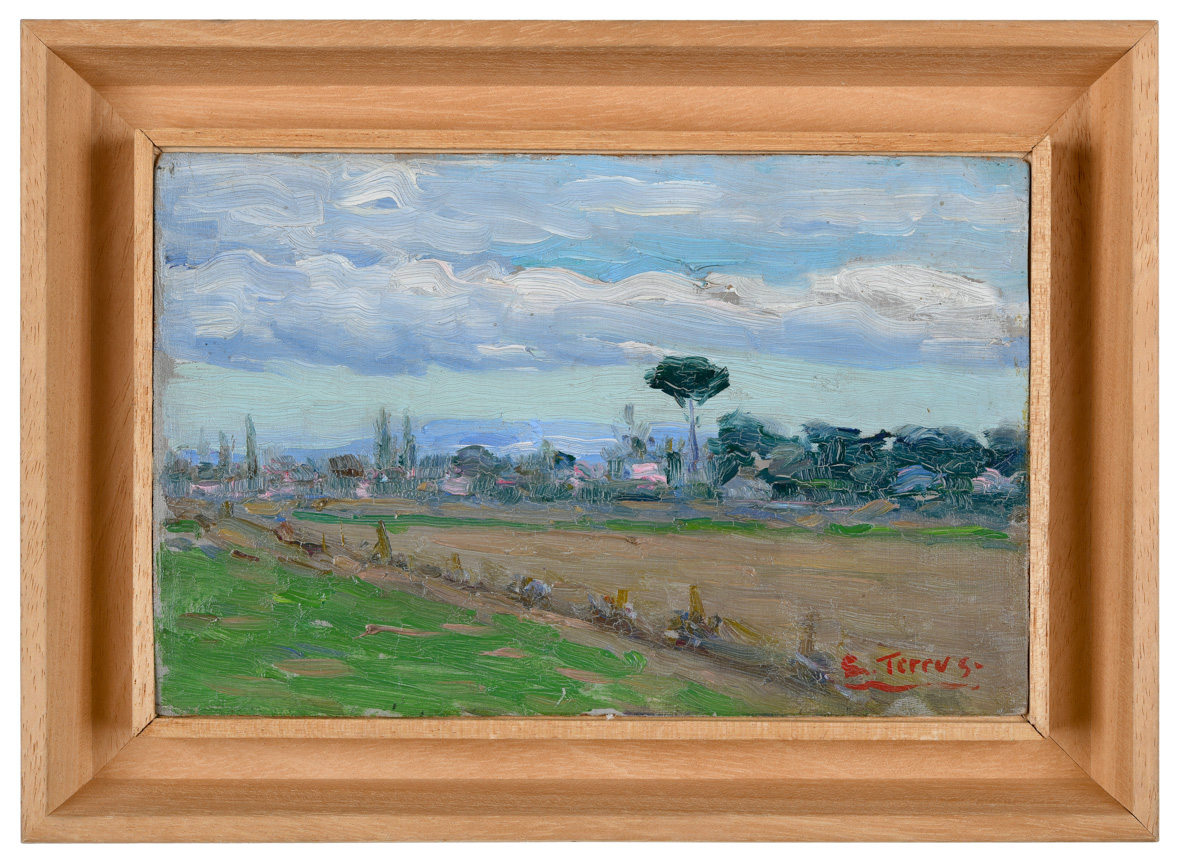 Paysage au pin parasol