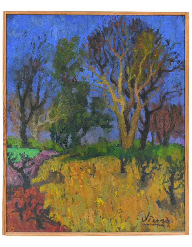 Arbres à l’automne