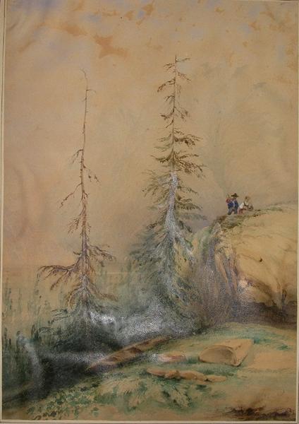 Paysage alpestre