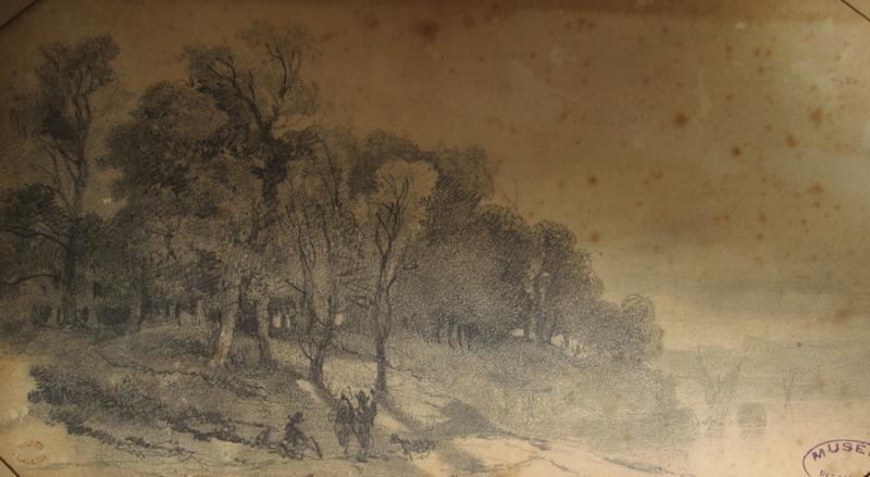 Une forêt au bord d'un lac