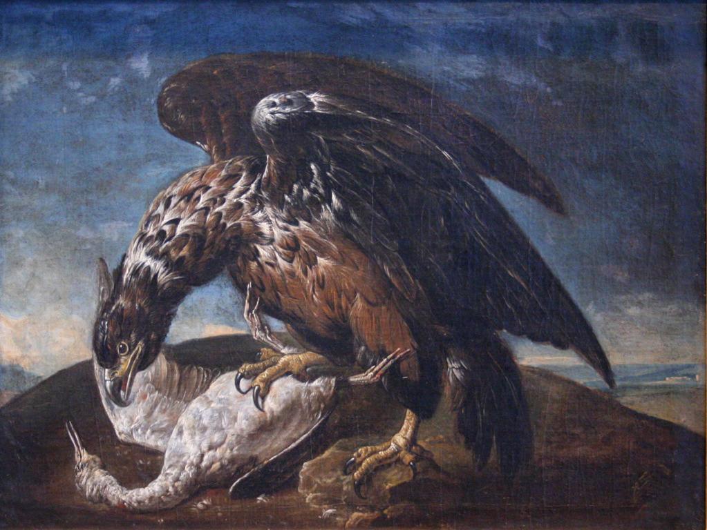 Milan dévorant sa proie (titre de l'inventaire)