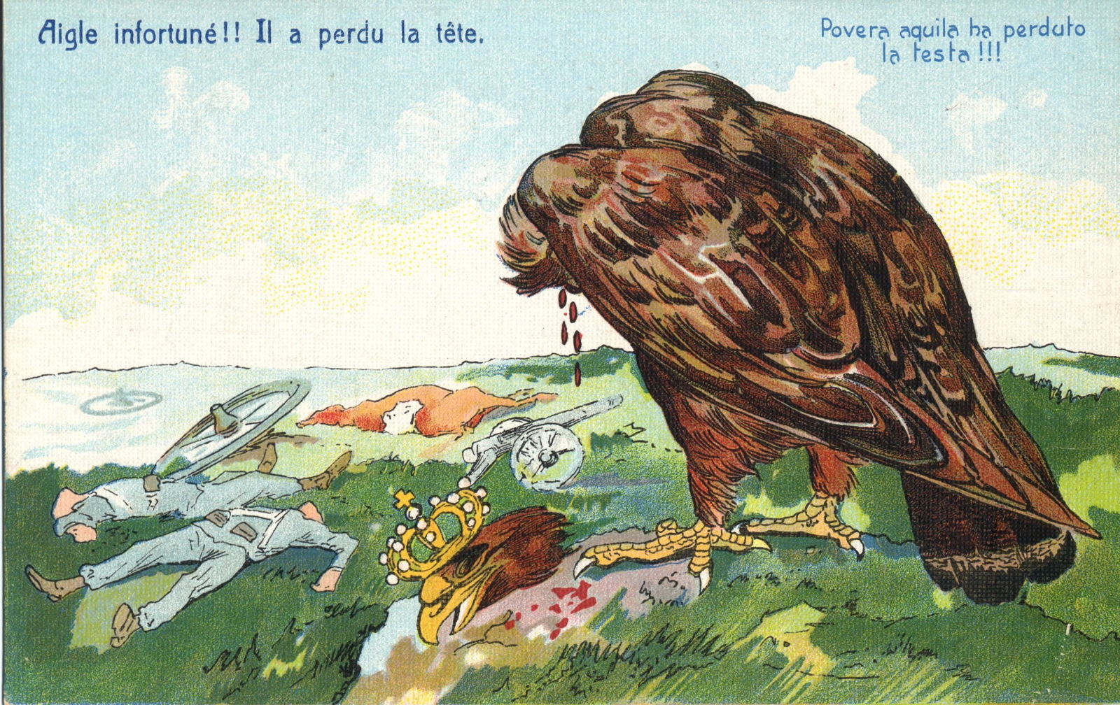 Aigle infortuné !! Il a perdu la tête.