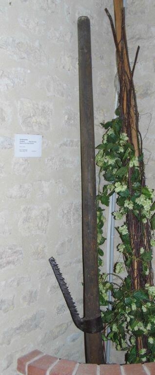 arrache perche à houblon (titre d'usage)