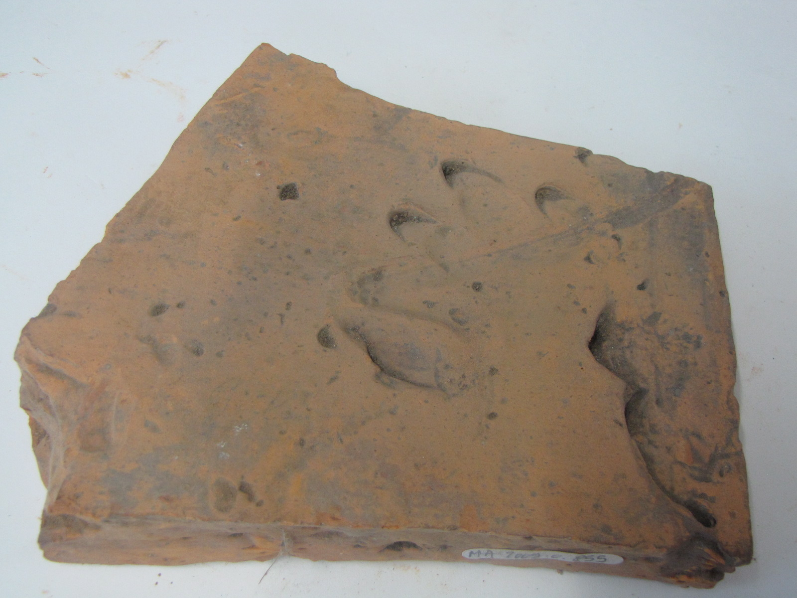 morceau de tuile (titre d'usage)