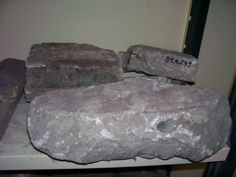 fragments de frise moulurée