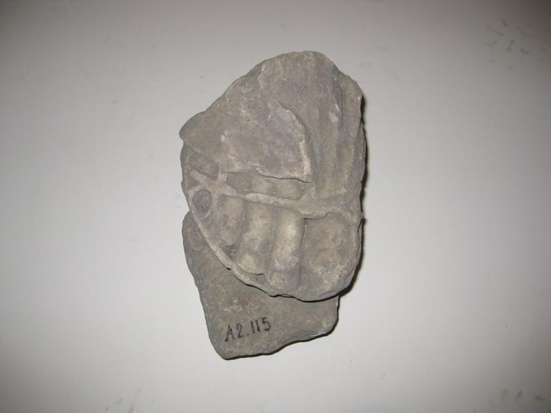 pied chaussé d'une sandale