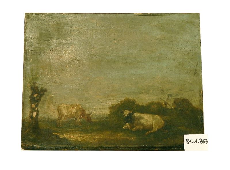 Vaches aux pâturages