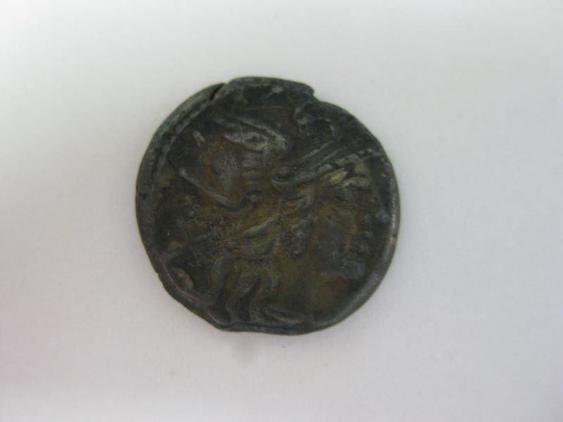 monnaie République romaine, Renia