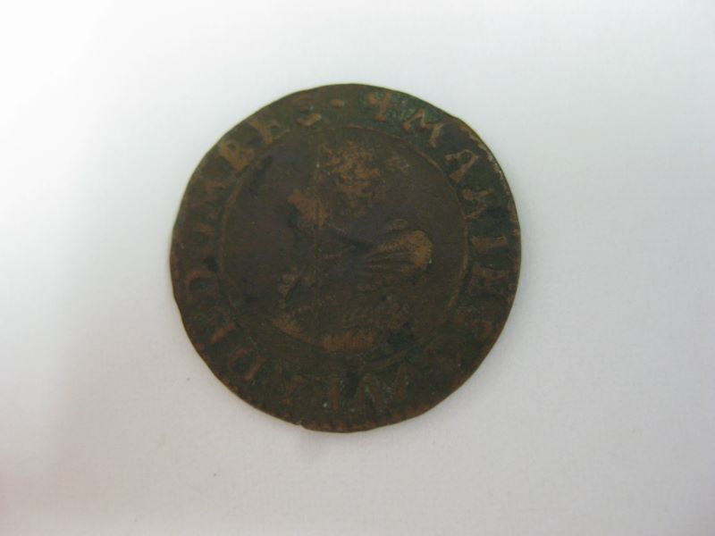 double tournois de Marie de Montpensier, Principauté de Dombes