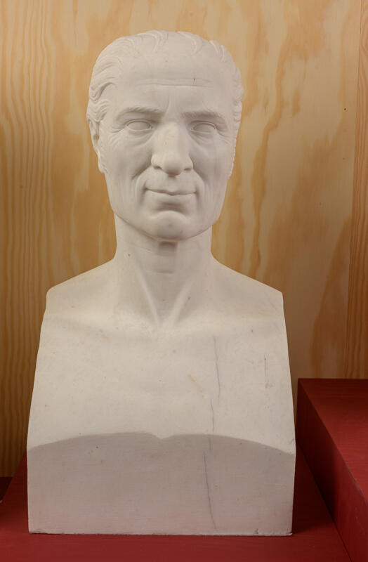 Buste du docteur Mougeot