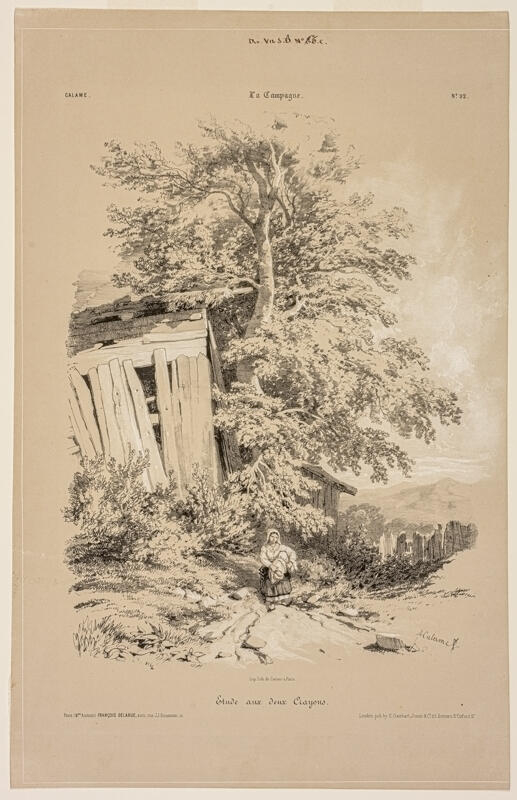 Etude d'arbres