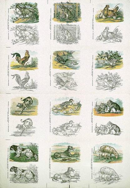 SUJETS à COLORIER aux CRAYONS de COULEURS (titre inscrit)