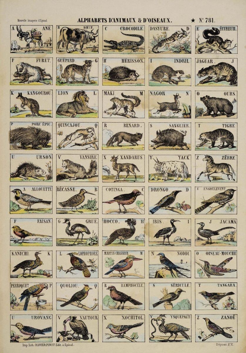 ALPHABETS D’ANIMAUX & D'OISEAUX. N°.781. (titre inscrit)