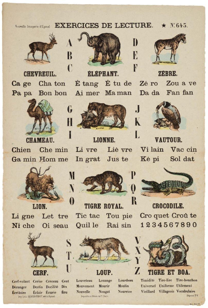 EXERCICES DE LECTURE. N°.645. (titre inscrit)