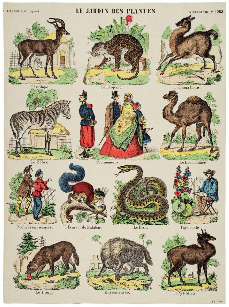 LE JARDIN DES PLANTES (titre inscrit)