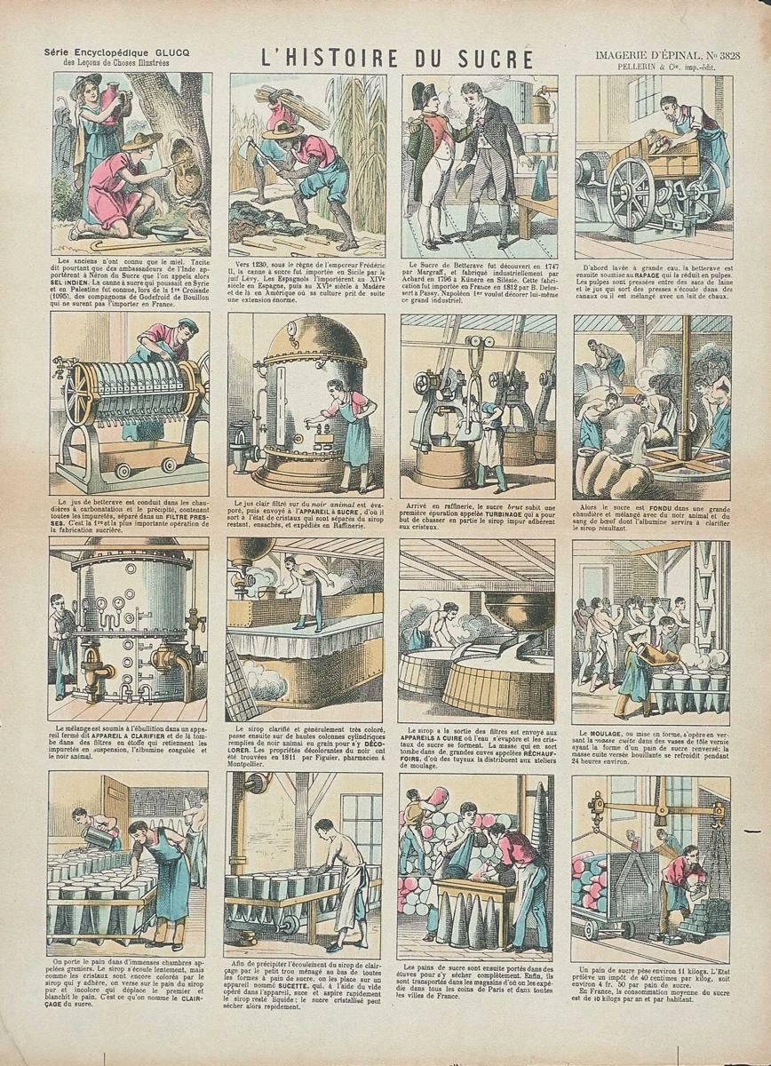 L'HISTOIRE DU SUCRE (titre inscrit)