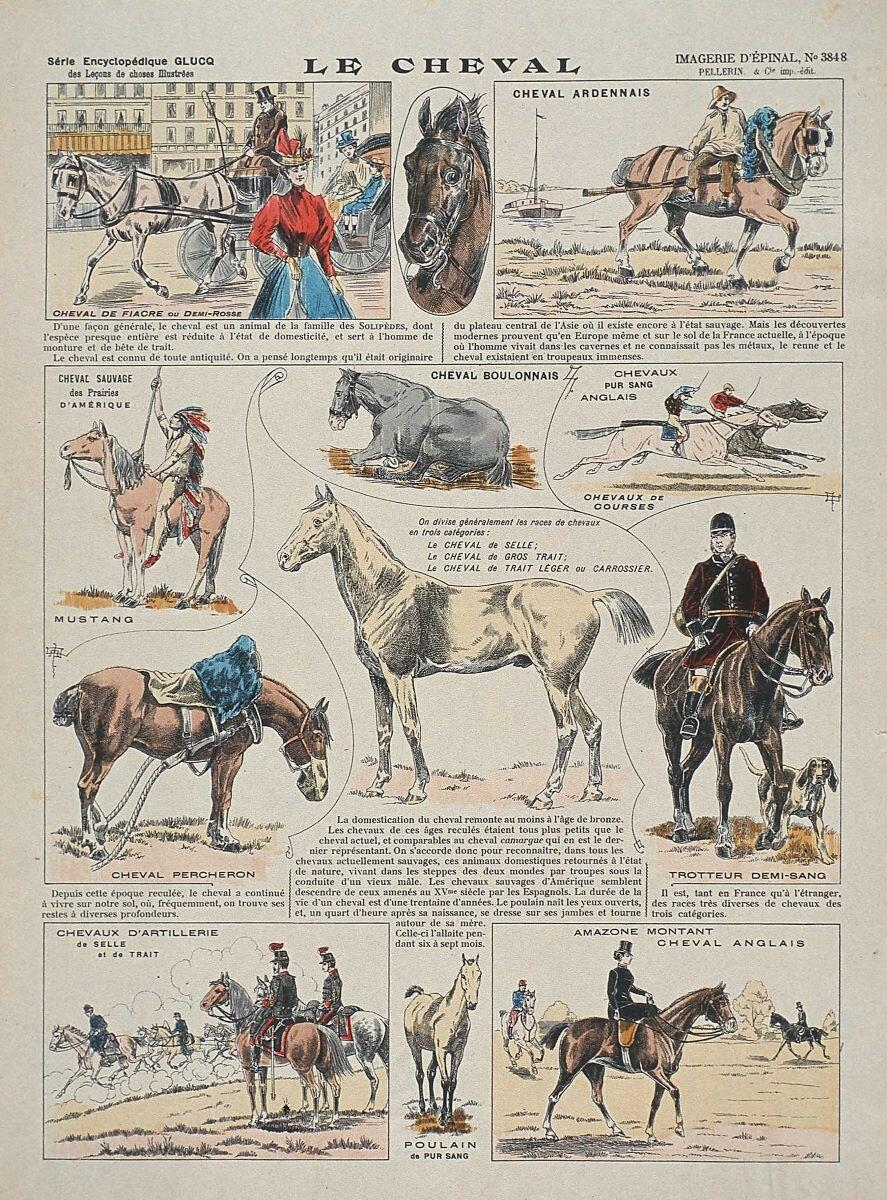 LE CHEVAL (titre inscrit)