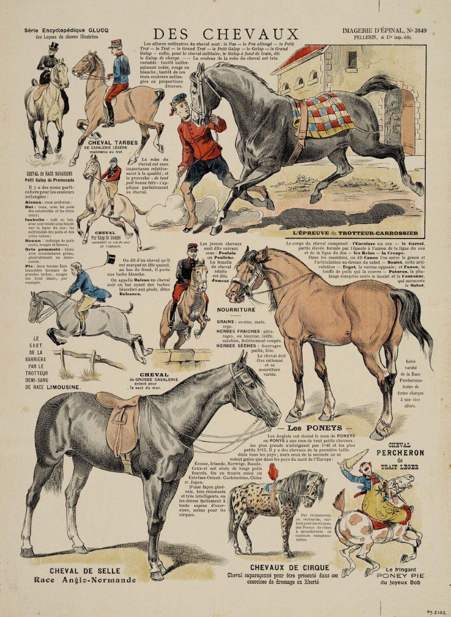 DES CHEVAUX (titre inscrit)