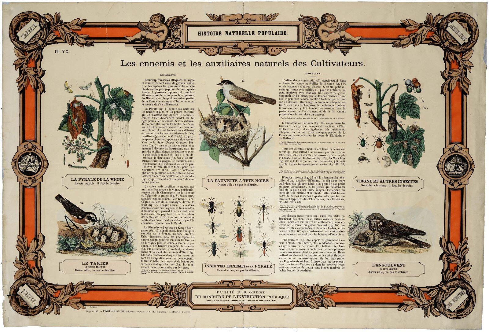 HISTOIRE NATURELLE POPULAIRE. / Les ennemis et les auxiliaires naturels des Cultivateurs. PL. N°.3. (titre inscrit)