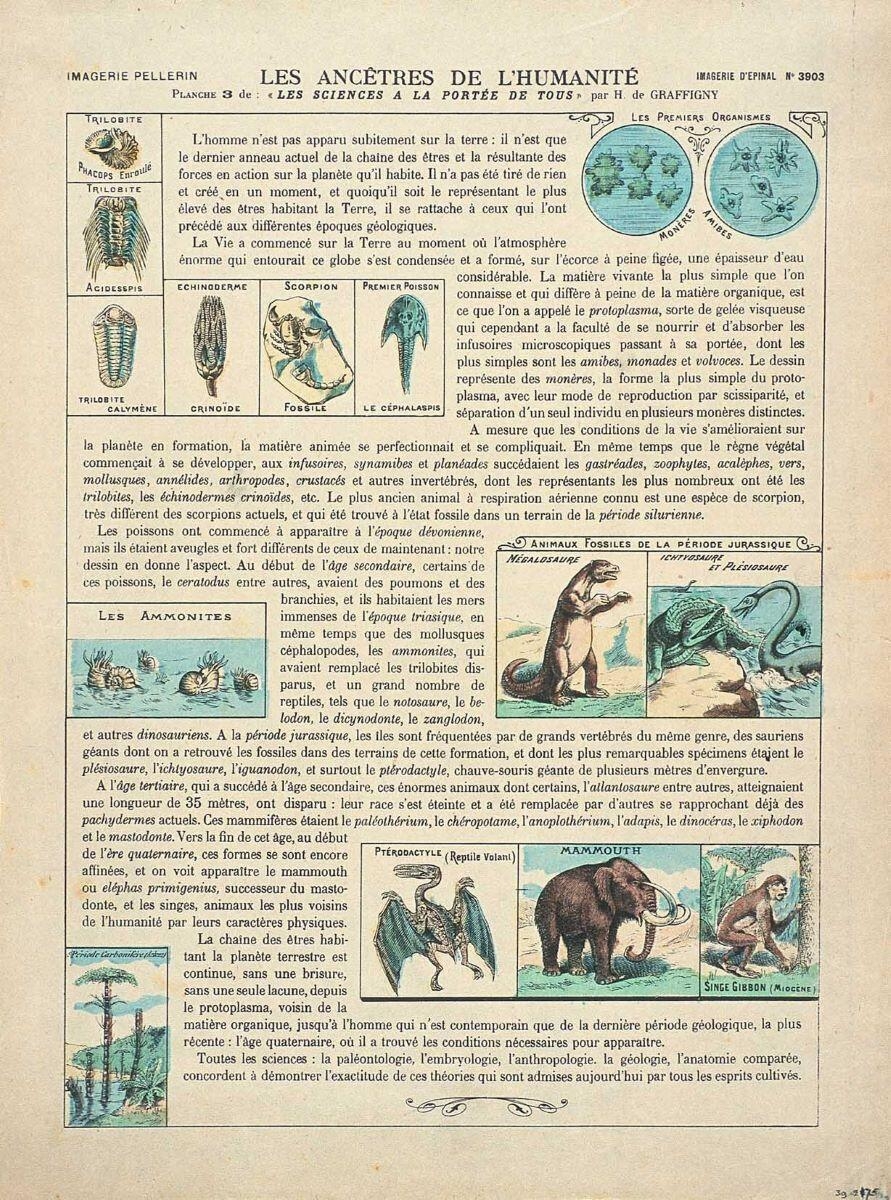 LES ANCÊTRES DE L'HUMANITÉ / PLANCHE 3 de : "LES SCIENCES A LA PORTÉE DE TOUS" par H. de GRAFFIGNY (titre inscrit)