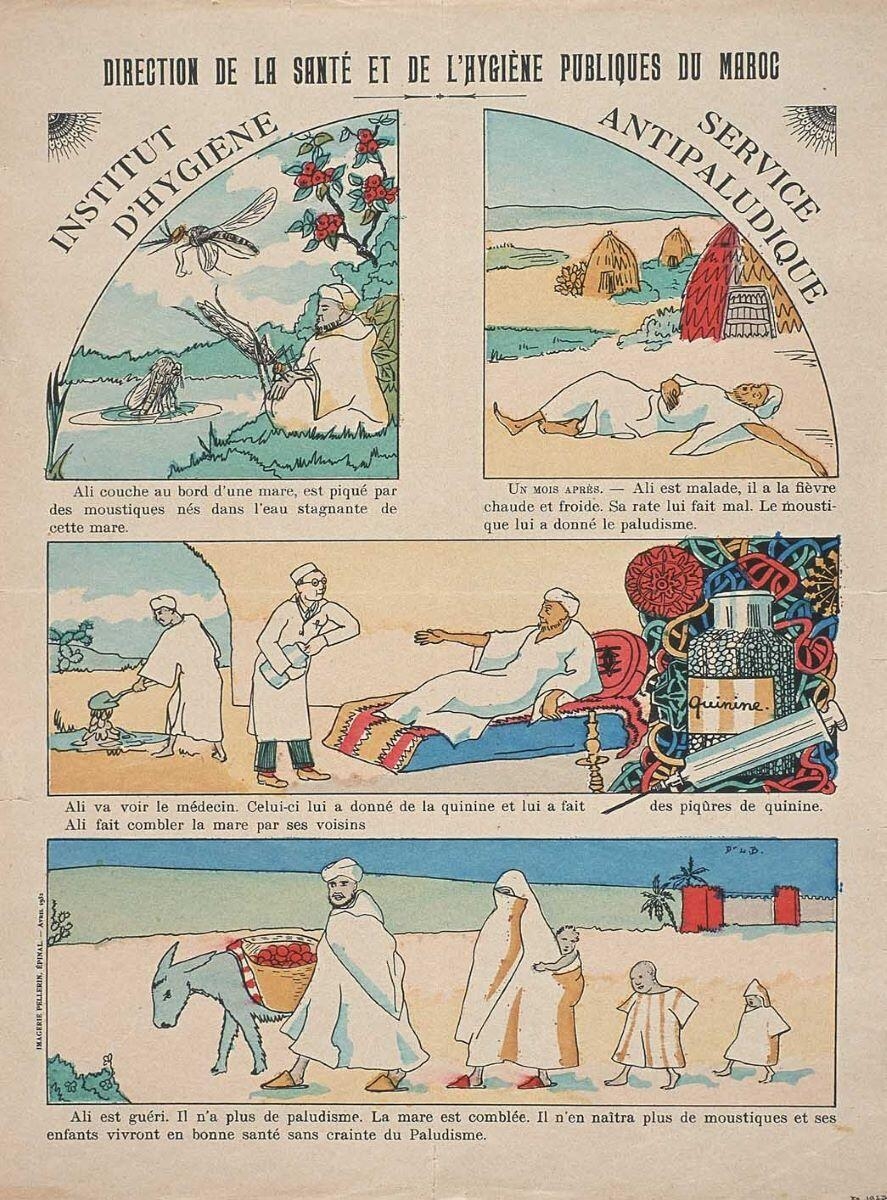 DIRECTION DE LA SANTE ET DE L'HYGIENE PUBLIQUES DU MAROC / INSTITUT / D'HYGIENE / SERVICE / ANTIPALUDIQUE (titre inscrit)