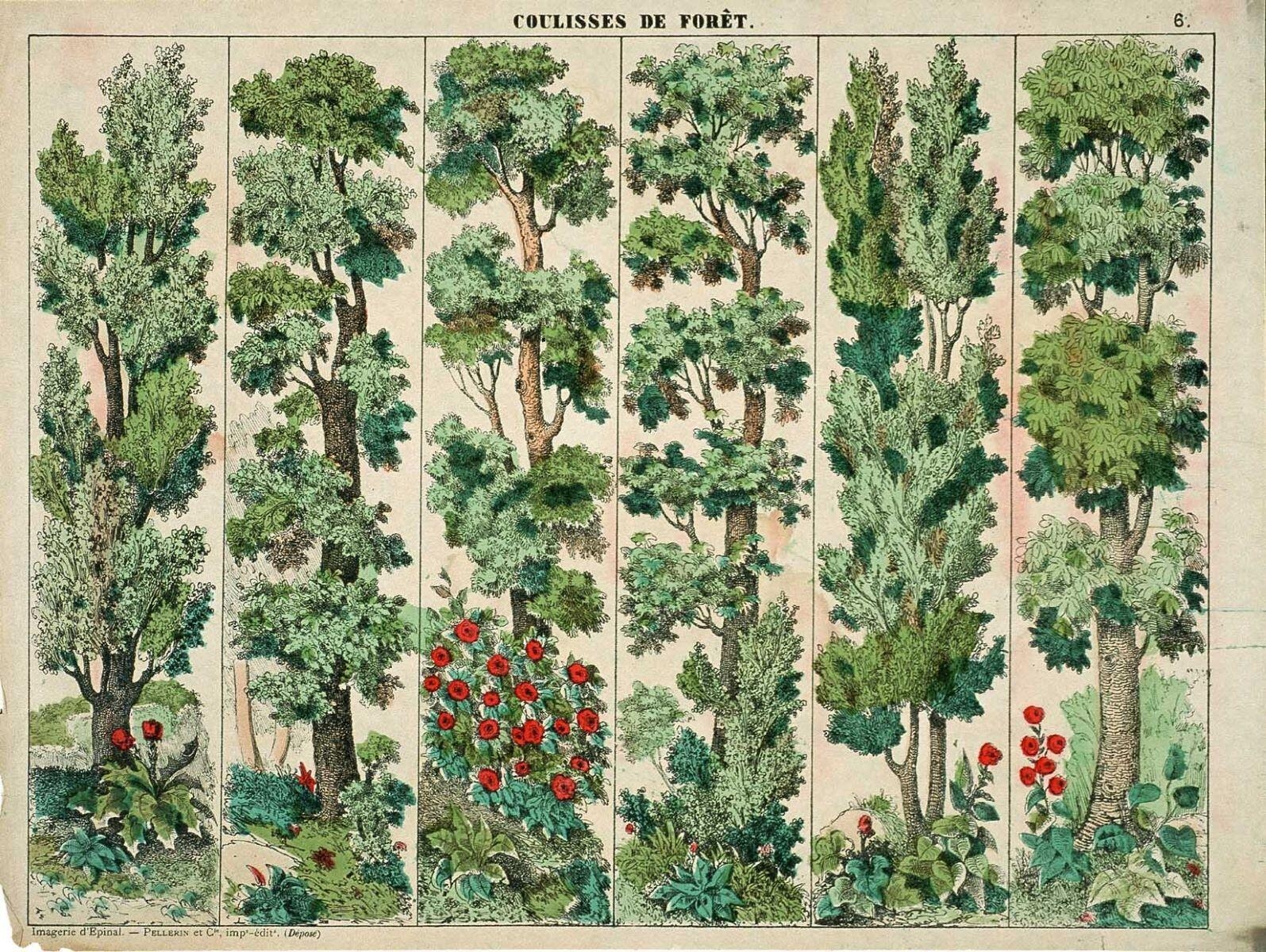 COULISSES DE FORET. 6. (titre inscrit)