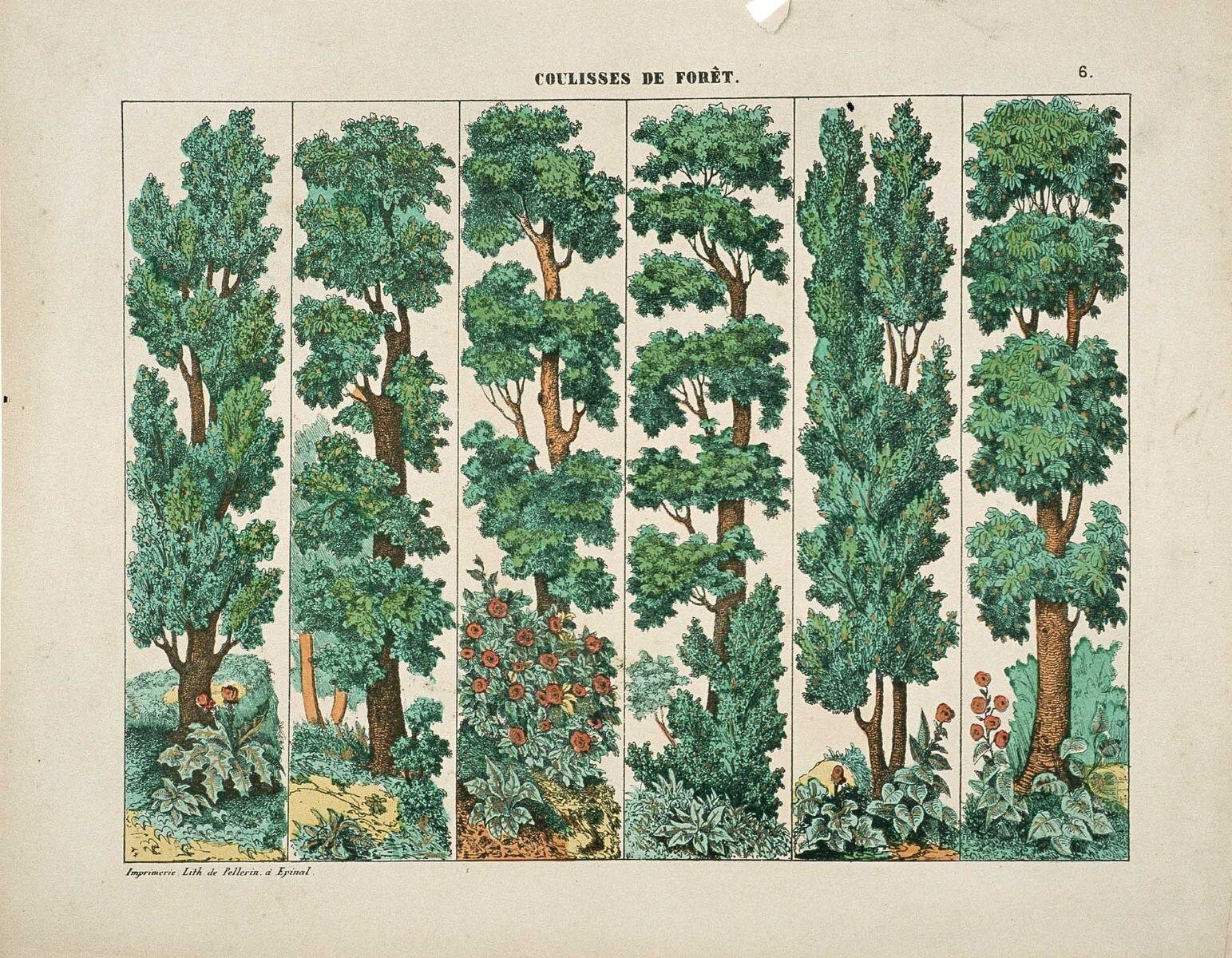 COULISSES DE FORET. 6. (titre inscrit)