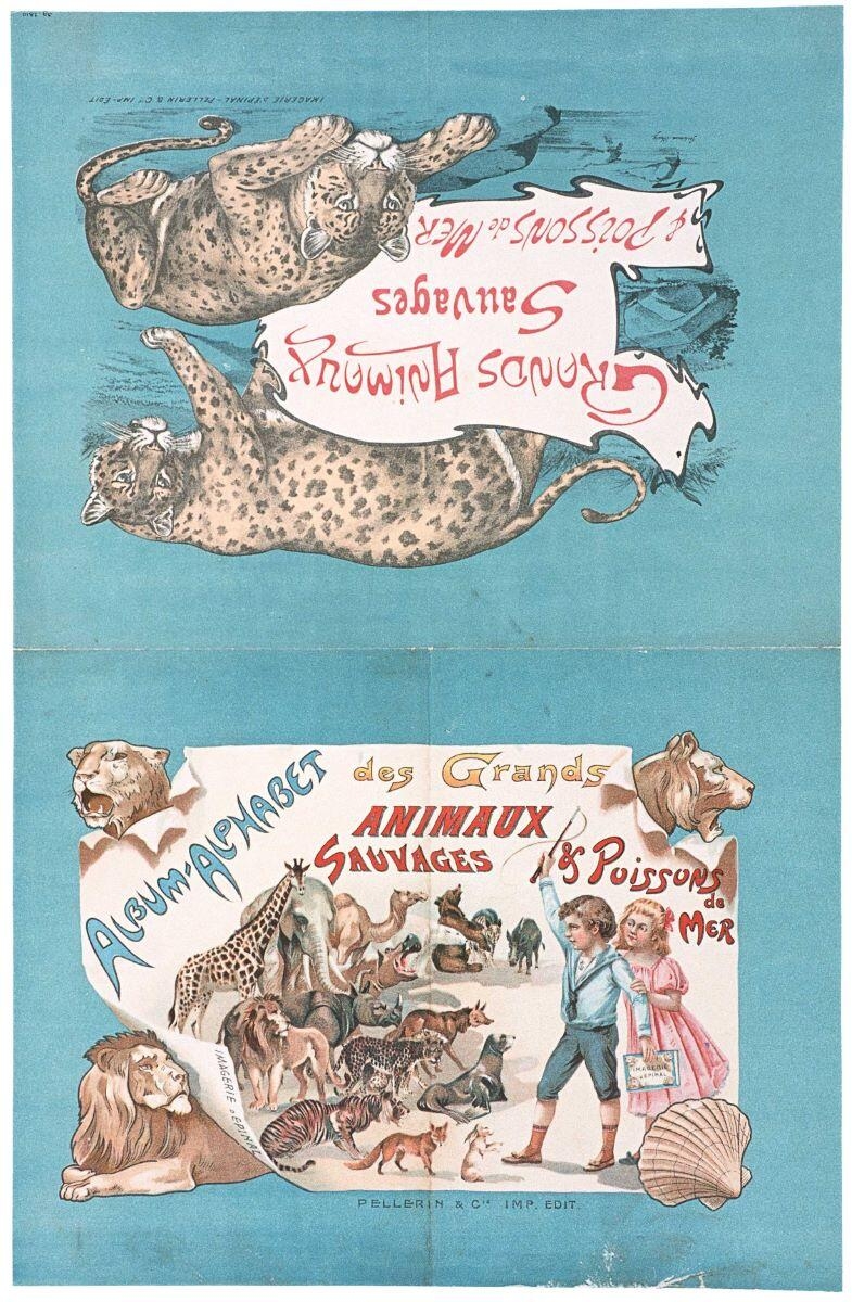 ALBUM-ALPHABET des Grands / ANIMAUX / SAUVAGES & Poissons / de / MER. (titre inscrit)