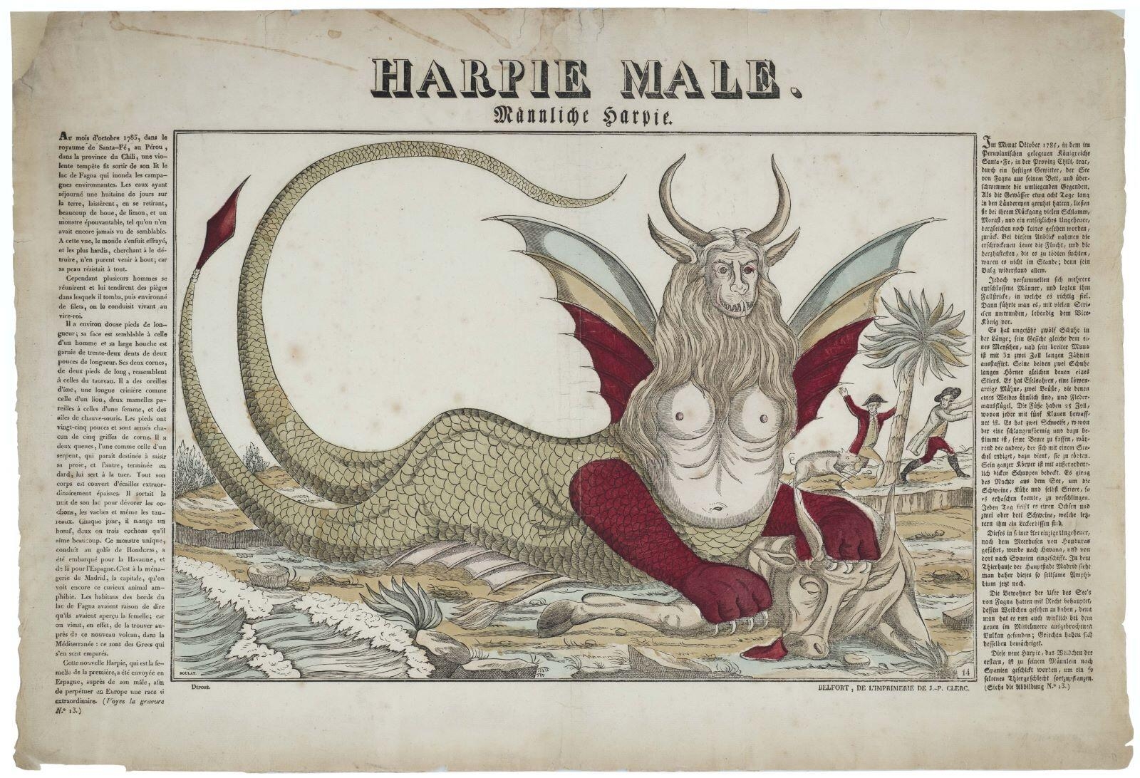 HARPIE MALE. 14 (titre inscrit fr., all.)