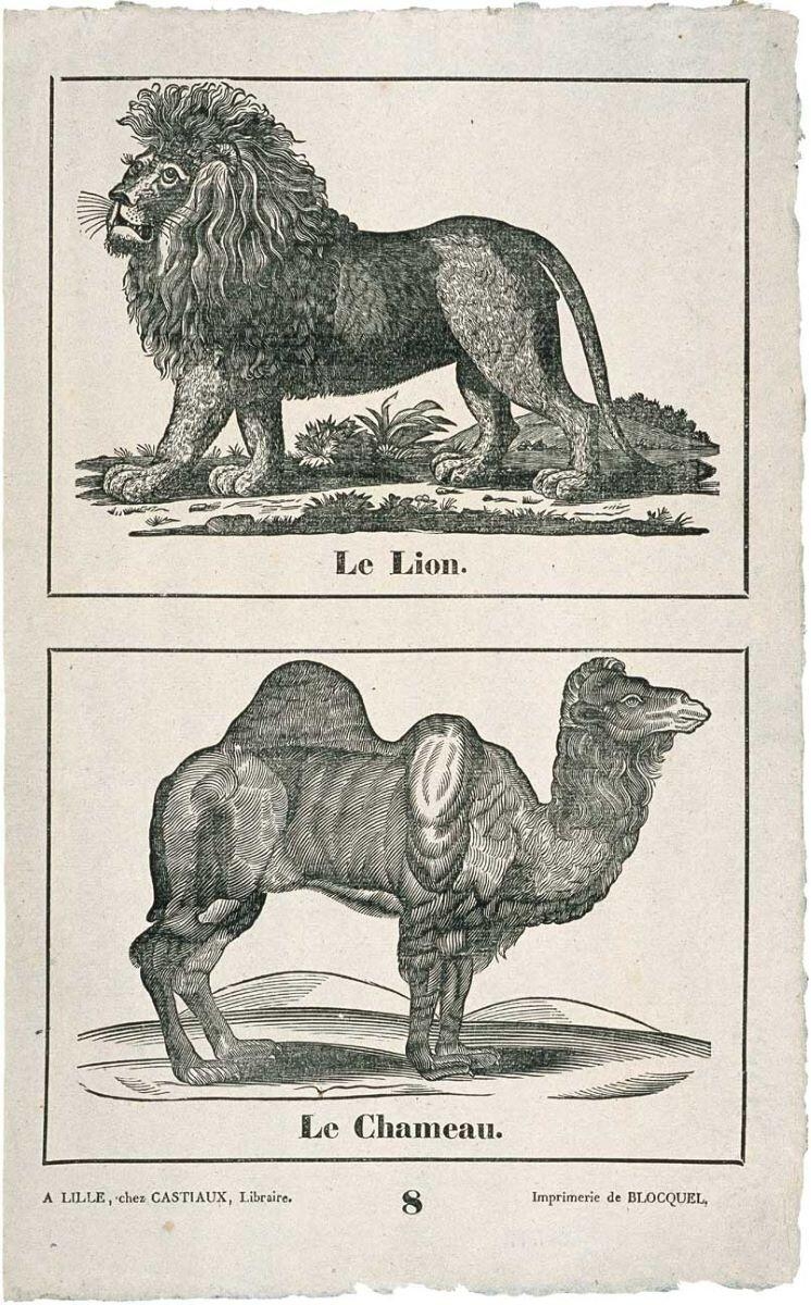 Le Lion. / Le Chameau. 8 (titre inscrit)