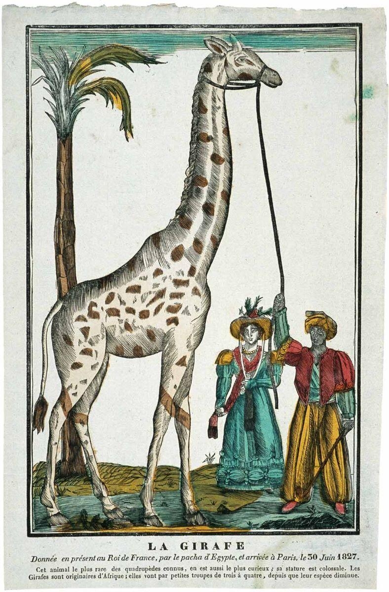 LA GIRAFE (titre inscrit)