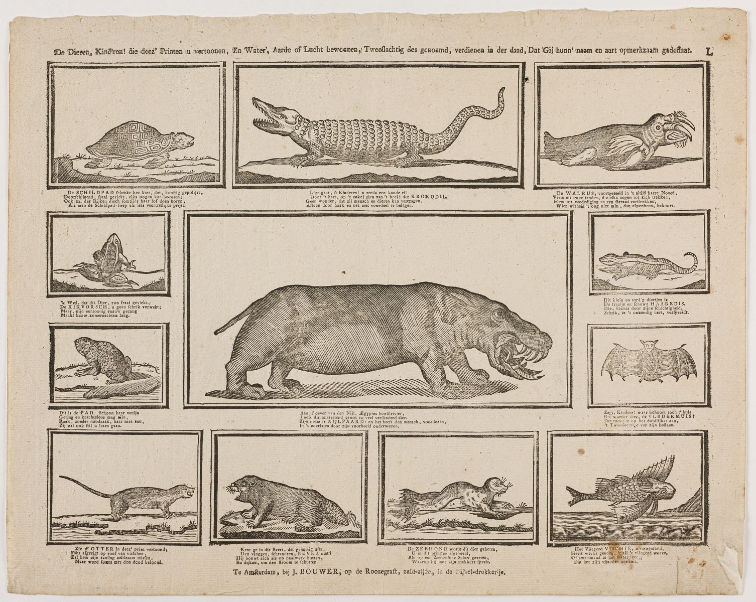 De Dieren, Kind'ren ! die deez' Printen u vertoonen, En Water, Aarde of Lucht bewoenen, Tweeflachtig des genoemd, verdienen in der daad, Dat Gij hunn' naam en aart opmerkzaam gadeflaat. L (titre inscrit néerl.) ; planche d’animaux (titre factice)