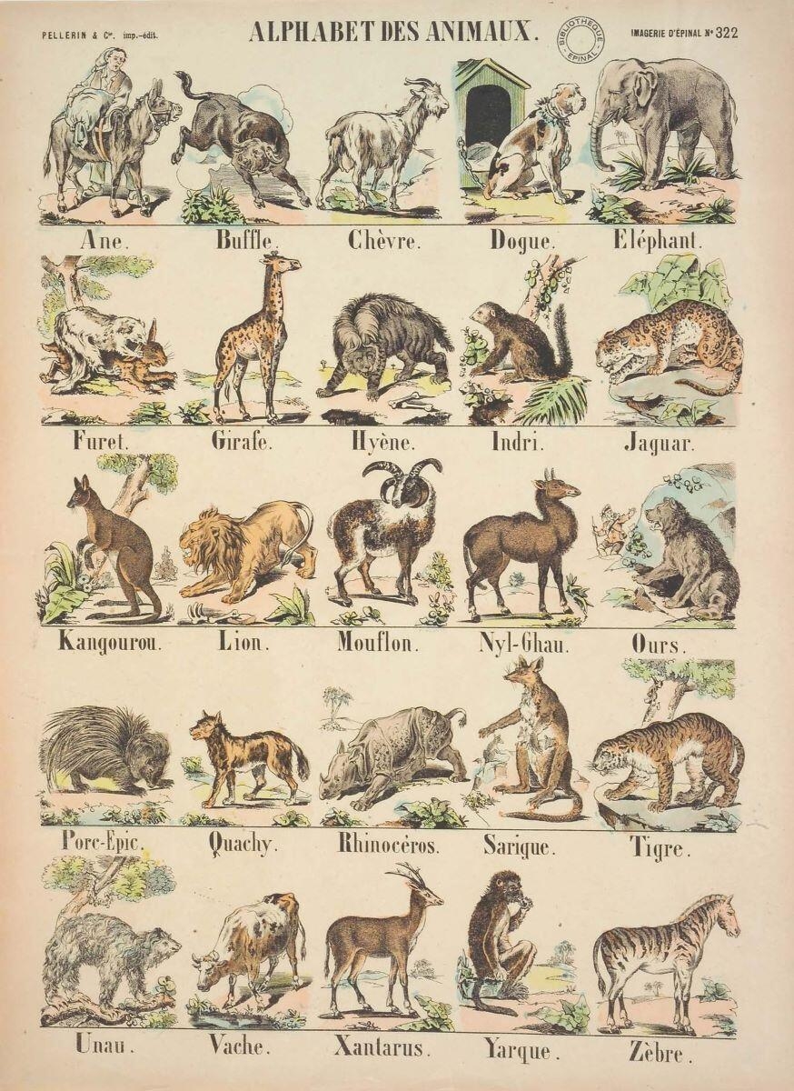 ALPHABET DES ANIMAUX. (titre inscrit)