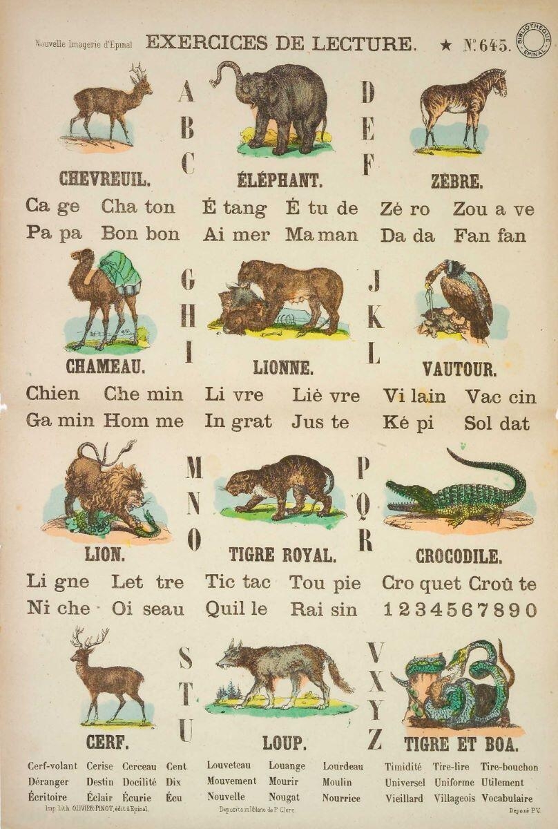 EXERCICES DE LECTURE. N°.645. (titre inscrit)