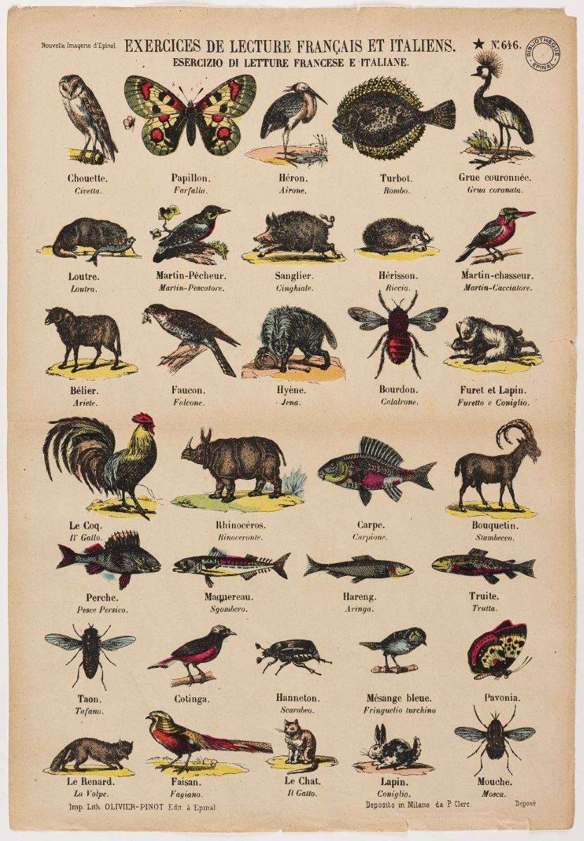 EXERCICES DE LECTURE FRANCAIS ET ITALIENS. N°.646. (titre inscrit fr., it.)